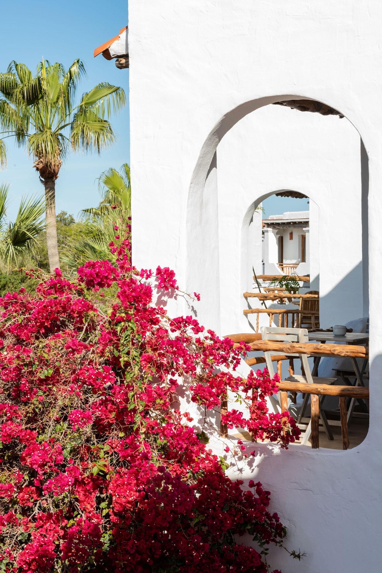 Hotel Petunia Ibiza (Adults Only) Cala Vadella  Exteriér fotografie